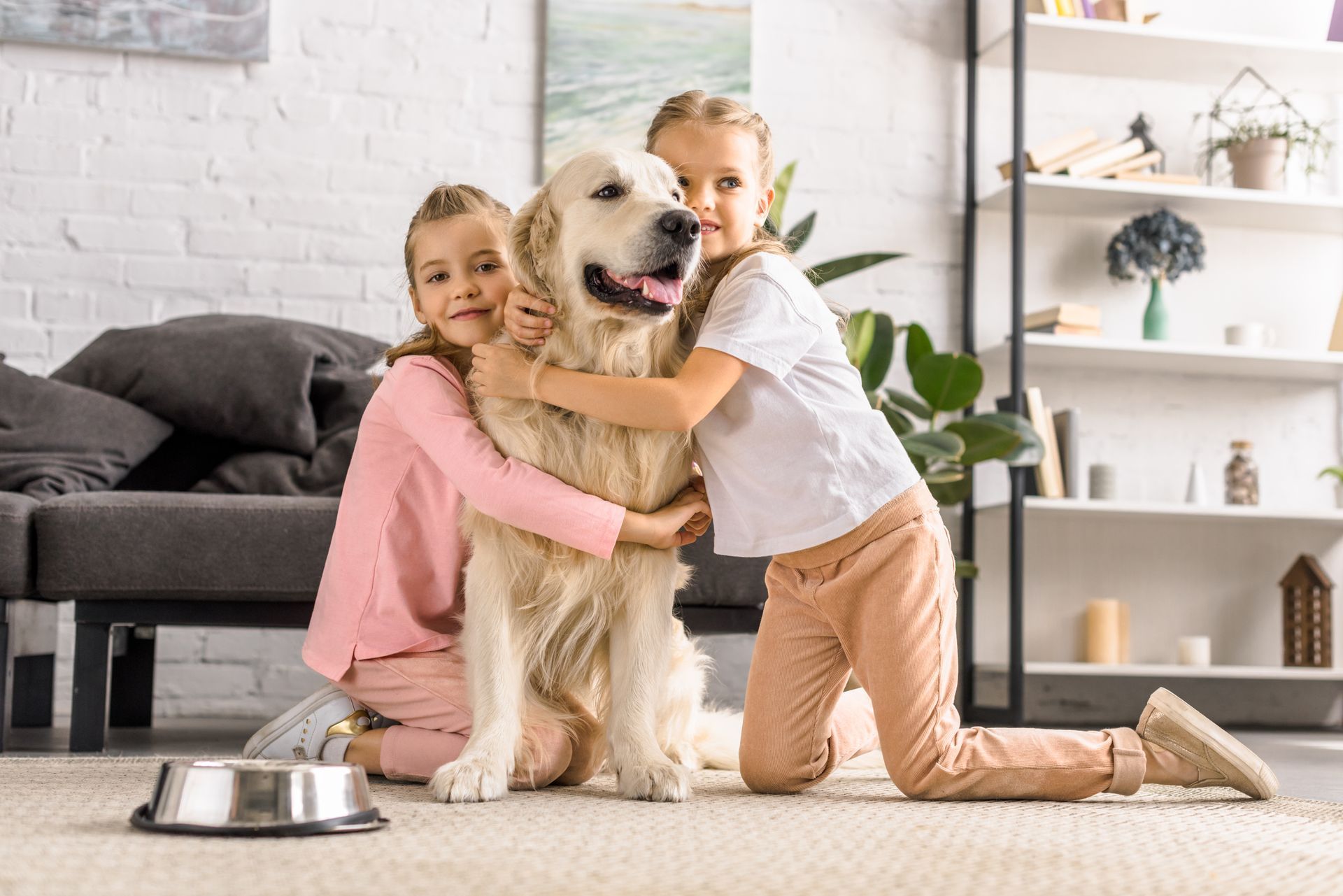 pest control service