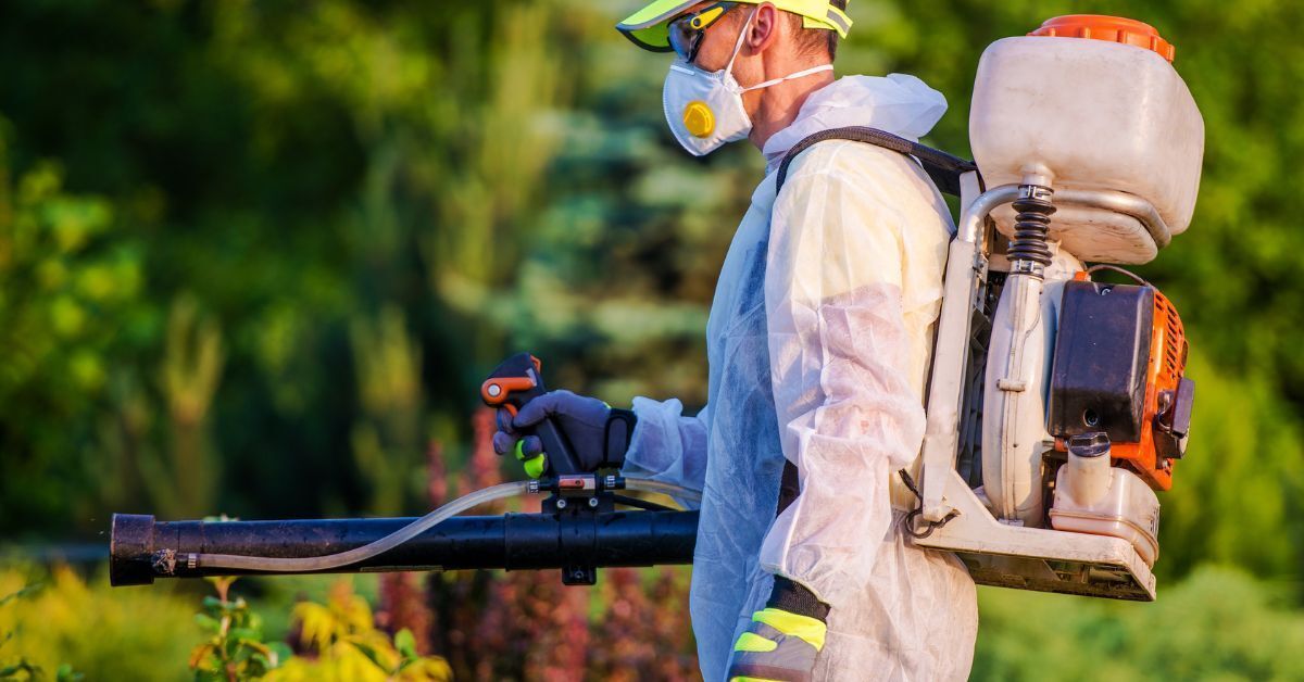 Lawn Pest Treatment