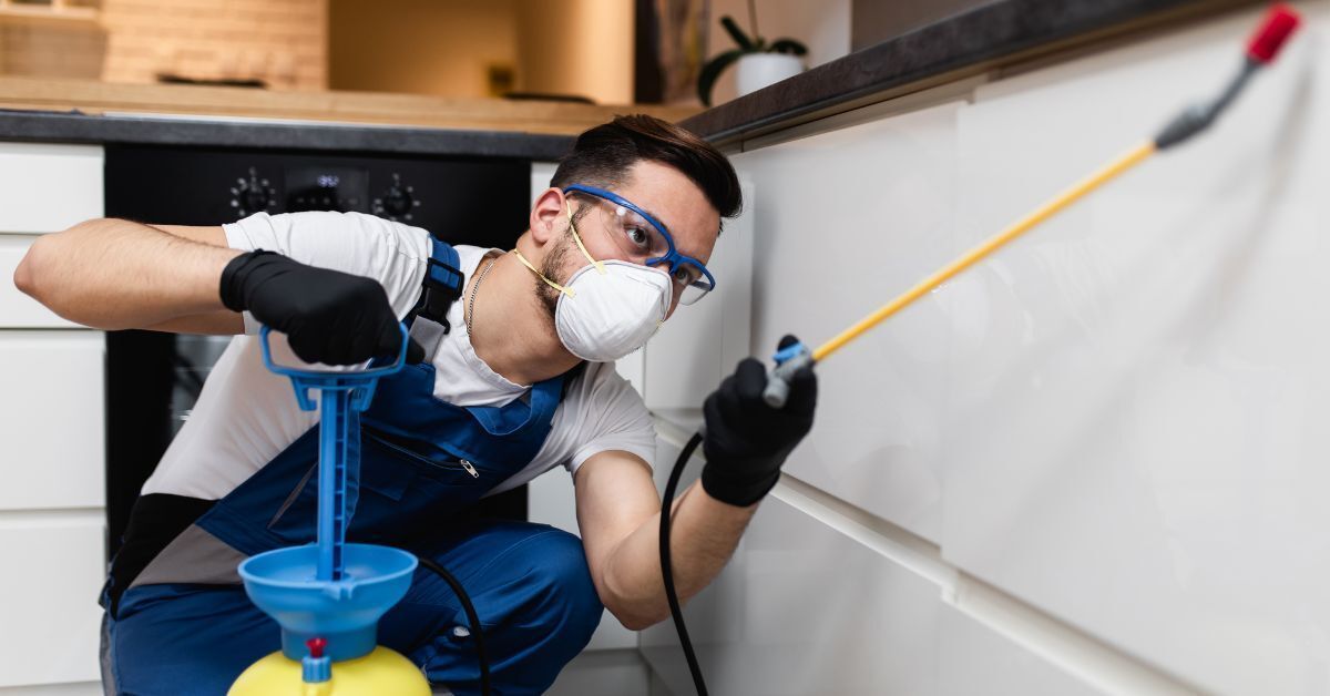 Best Pest Control Company in West Jordan, Utah